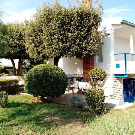 Punta Skala Nena Apartman Kwatera prywatna Petrčane